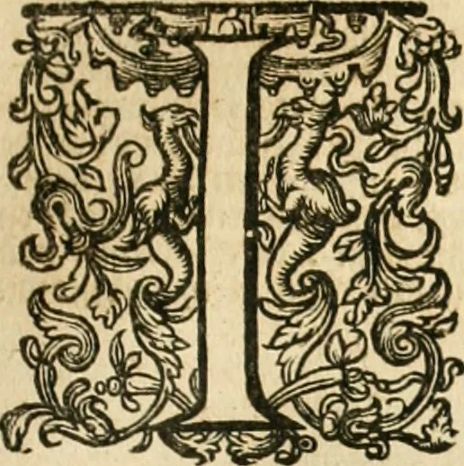 An illustration from Historie der Nieder-landscher ende haerder Naburen oorlogen : ende geschiedenissen tot den iare MVICXII, nu de laestemael bij hem voor syme todtmerckelijck verbetert en in, XXXII boecken voltzocken is mede' hier by gevoegt des autheurs leven [by Simeon Ruytinck] verryckt benessens de Land-Caerte met by na hondert correcte Conterfeijtsels vande voor treflijcste Personagien in dese Historie verhaelt. Alle cierlijck na d'leven ghedaen ende in Coperen platen gesteken ; gedruckt int Yaer ons Heeren MDCXXXVI, 1636, leaf 1020