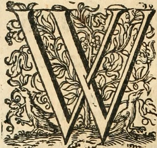 An illustration from Historie der Nieder-landscher ende haerder Naburen oorlogen : ende geschiedenissen tot den iare MVICXII, nu de laestemael bij hem voor syme todtmerckelijck verbetert en in, XXXII boecken voltzocken is mede' hier by gevoegt des autheurs leven [by Simeon Ruytinck] verryckt benessens de Land-Caerte met by na hondert correcte Conterfeijtsels vande voor treflijcste Personagien in dese Historie verhaelt. Alle cierlijck na d'leven ghedaen ende in Coperen platen gesteken ; gedruckt int Yaer ons Heeren MDCXXXVI, 1636, leaf 1021