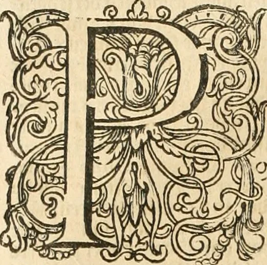 An illustration from Historie der Nieder-landscher ende haerder Naburen oorlogen : ende geschiedenissen tot den iare MVICXII, nu de laestemael bij hem voor syme todtmerckelijck verbetert en in, XXXII boecken voltzocken is mede' hier by gevoegt des autheurs leven [by Simeon Ruytinck] verryckt benessens de Land-Caerte met by na hondert correcte Conterfeijtsels vande voor treflijcste Personagien in dese Historie verhaelt. Alle cierlijck na d'leven ghedaen ende in Coperen platen gesteken ; gedruckt int Yaer ons Heeren MDCXXXVI, 1636, leaf 1099