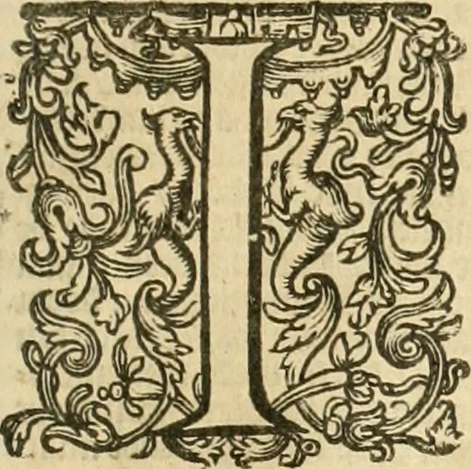 An illustration from Historie der Nieder-landscher ende haerder Naburen oorlogen : ende geschiedenissen tot den iare MVICXII, nu de laestemael bij hem voor syme todtmerckelijck verbetert en in, XXXII boecken voltzocken is mede' hier by gevoegt des autheurs leven [by Simeon Ruytinck] verryckt benessens de Land-Caerte met by na hondert correcte Conterfeijtsels vande voor treflijcste Personagien in dese Historie verhaelt. Alle cierlijck na d'leven ghedaen ende in Coperen platen gesteken ; gedruckt int Yaer ons Heeren MDCXXXVI, 1636, leaf 1128