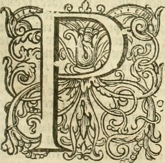 An illustration from Historie der Nieder-landscher ende haerder Naburen oorlogen : ende geschiedenissen tot den iare MVICXII, nu de laestemael bij hem voor syme todtmerckelijck verbetert en in, XXXII boecken voltzocken is mede' hier by gevoegt des autheurs leven [by Simeon Ruytinck] verryckt benessens de Land-Caerte met by na hondert correcte Conterfeijtsels vande voor treflijcste Personagien in dese Historie verhaelt. Alle cierlijck na d'leven ghedaen ende in Coperen platen gesteken ; gedruckt int Yaer ons Heeren MDCXXXVI, 1636, leaf 1178