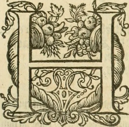 An illustration from Historie der Nieder-landscher ende haerder Naburen oorlogen : ende geschiedenissen tot den iare MVICXII, nu de laestemael bij hem voor syme todtmerckelijck verbetert en in, XXXII boecken voltzocken is mede' hier by gevoegt des autheurs leven [by Simeon Ruytinck] verryckt benessens de Land-Caerte met by na hondert correcte Conterfeijtsels vande voor treflijcste Personagien in dese Historie verhaelt. Alle cierlijck na d'leven ghedaen ende in Coperen platen gesteken ; gedruckt int Yaer ons Heeren MDCXXXVI, 1636, leaf 1262