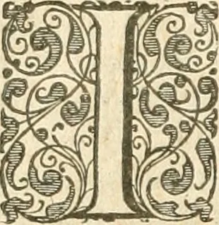 An illustration from Historie der Nieder-landscher ende haerder Naburen oorlogen : ende geschiedenissen tot den iare MVICXII, nu de laestemael bij hem voor syme todtmerckelijck verbetert en in, XXXII boecken voltzocken is mede' hier by gevoegt des autheurs leven [by Simeon Ruytinck] verryckt benessens de Land-Caerte met by na hondert correcte Conterfeijtsels vande voor treflijcste Personagien in dese Historie verhaelt. Alle cierlijck na d'leven ghedaen ende in Coperen platen gesteken ; gedruckt int Yaer ons Heeren MDCXXXVI, 1636, leaf 1263