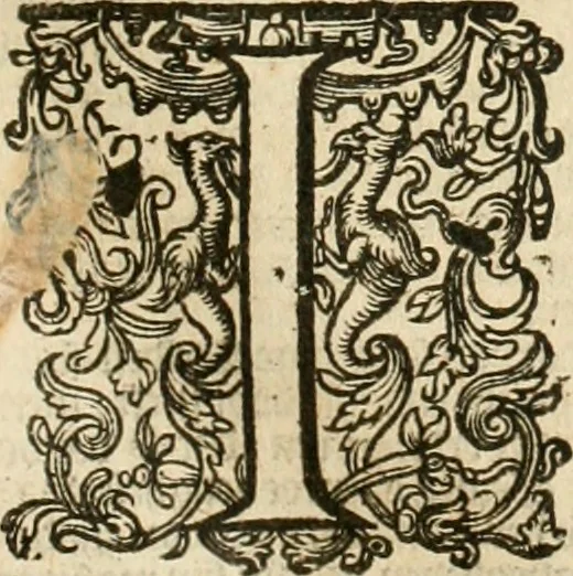 An illustration from Historie der Nieder-landscher ende haerder Naburen oorlogen : ende geschiedenissen tot den iare MVICXII, nu de laestemael bij hem voor syme todtmerckelijck verbetert en in, XXXII boecken voltzocken is mede' hier by gevoegt des autheurs leven [by Simeon Ruytinck] verryckt benessens de Land-Caerte met by na hondert correcte Conterfeijtsels vande voor treflijcste Personagien in dese Historie verhaelt. Alle cierlijck na d'leven ghedaen ende in Coperen platen gesteken ; gedruckt int Yaer ons Heeren MDCXXXVI, 1636, leaf 128