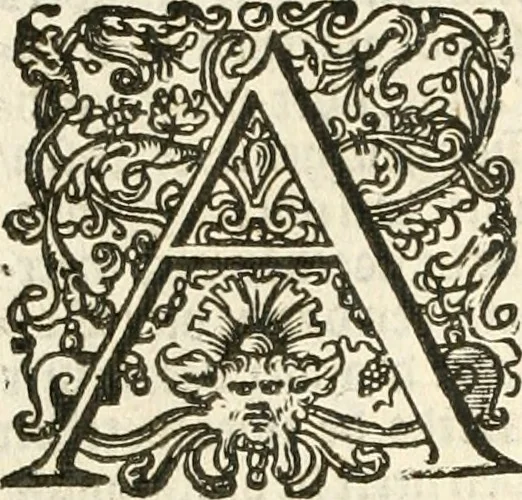An illustration from Historie der Nieder-landscher ende haerder Naburen oorlogen : ende geschiedenissen tot den iare MVICXII, nu de laestemael bij hem voor syme todtmerckelijck verbetert en in, XXXII boecken voltzocken is mede' hier by gevoegt des autheurs leven [by Simeon Ruytinck] verryckt benessens de Land-Caerte met by na hondert correcte Conterfeijtsels vande voor treflijcste Personagien in dese Historie verhaelt. Alle cierlijck na d'leven ghedaen ende in Coperen platen gesteken ; gedruckt int Yaer ons Heeren MDCXXXVI, 1636, leaf 15