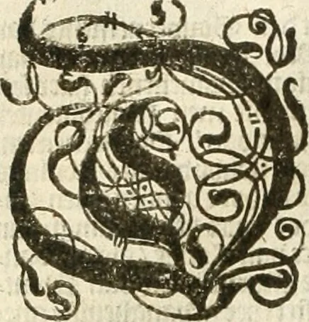 An illustration from Historie der Nieder-landscher ende haerder Naburen oorlogen : ende geschiedenissen tot den iare MVICXII, nu de laestemael bij hem voor syme todtmerckelijck verbetert en in, XXXII boecken voltzocken is mede' hier by gevoegt des autheurs leven [by Simeon Ruytinck] verryckt benessens de Land-Caerte met by na hondert correcte Conterfeijtsels vande voor treflijcste Personagien in dese Historie verhaelt. Alle cierlijck na d'leven ghedaen ende in Coperen platen gesteken ; gedruckt int Yaer ons Heeren MDCXXXVI, 1636, leaf 259