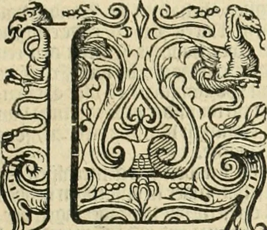 An illustration from Historie der Nieder-landscher ende haerder Naburen oorlogen : ende geschiedenissen tot den iare MVICXII, nu de laestemael bij hem voor syme todtmerckelijck verbetert en in, XXXII boecken voltzocken is mede' hier by gevoegt des autheurs leven [by Simeon Ruytinck] verryckt benessens de Land-Caerte met by na hondert correcte Conterfeijtsels vande voor treflijcste Personagien in dese Historie verhaelt. Alle cierlijck na d'leven ghedaen ende in Coperen platen gesteken ; gedruckt int Yaer ons Heeren MDCXXXVI, 1636, leaf 28