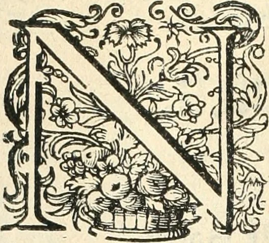 An illustration from Historie der Nieder-landscher ende haerder Naburen oorlogen : ende geschiedenissen tot den iare MVICXII, nu de laestemael bij hem voor syme todtmerckelijck verbetert en in, XXXII boecken voltzocken is mede' hier by gevoegt des autheurs leven [by Simeon Ruytinck] verryckt benessens de Land-Caerte met by na hondert correcte Conterfeijtsels vande voor treflijcste Personagien in dese Historie verhaelt. Alle cierlijck na d'leven ghedaen ende in Coperen platen gesteken ; gedruckt int Yaer ons Heeren MDCXXXVI, 1636, leaf 29