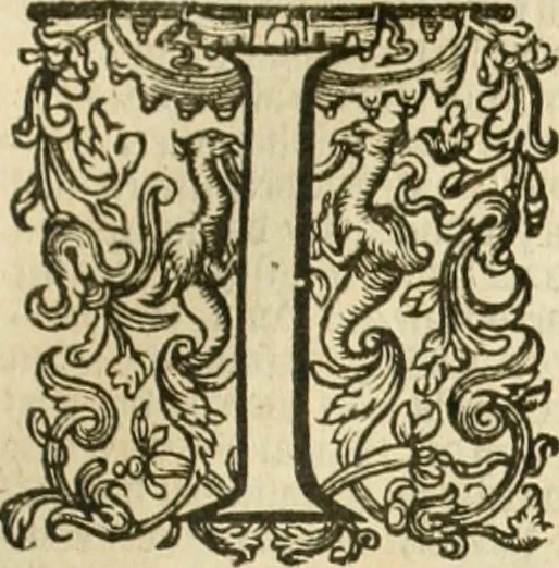 An illustration from Historie der Nieder-landscher ende haerder Naburen oorlogen : ende geschiedenissen tot den iare MVICXII, nu de laestemael bij hem voor syme todtmerckelijck verbetert en in, XXXII boecken voltzocken is mede' hier by gevoegt des autheurs leven [by Simeon Ruytinck] verryckt benessens de Land-Caerte met by na hondert correcte Conterfeijtsels vande voor treflijcste Personagien in dese Historie verhaelt. Alle cierlijck na d'leven ghedaen ende in Coperen platen gesteken ; gedruckt int Yaer ons Heeren MDCXXXVI, 1636, leaf 314