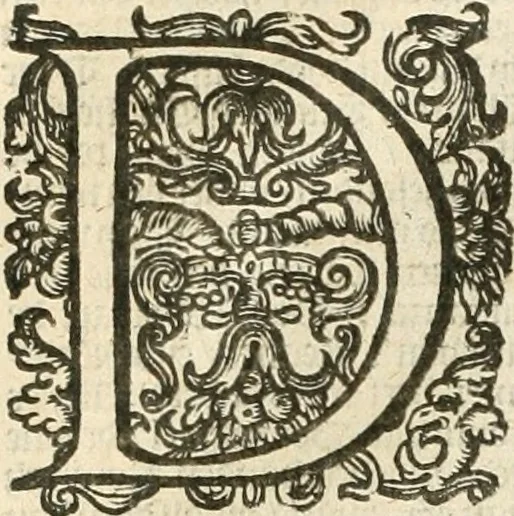An illustration from Historie der Nieder-landscher ende haerder Naburen oorlogen : ende geschiedenissen tot den iare MVICXII, nu de laestemael bij hem voor syme todtmerckelijck verbetert en in, XXXII boecken voltzocken is mede' hier by gevoegt des autheurs leven [by Simeon Ruytinck] verryckt benessens de Land-Caerte met by na hondert correcte Conterfeijtsels vande voor treflijcste Personagien in dese Historie verhaelt. Alle cierlijck na d'leven ghedaen ende in Coperen platen gesteken ; gedruckt int Yaer ons Heeren MDCXXXVI, 1636, leaf 347