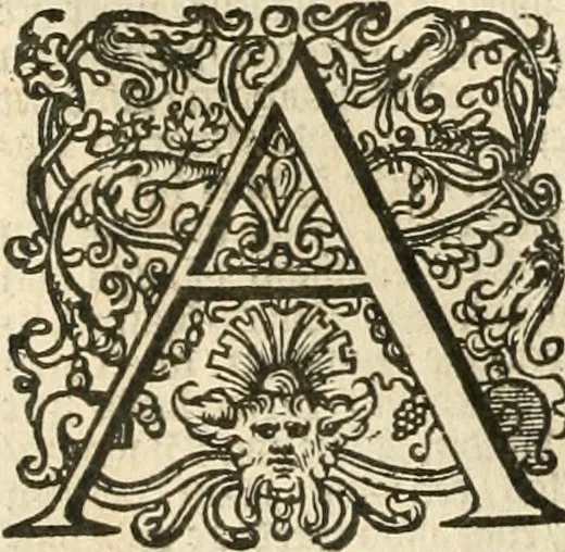 An illustration from Historie der Nieder-landscher ende haerder Naburen oorlogen : ende geschiedenissen tot den iare MVICXII, nu de laestemael bij hem voor syme todtmerckelijck verbetert en in, XXXII boecken voltzocken is mede' hier by gevoegt des autheurs leven [by Simeon Ruytinck] verryckt benessens de Land-Caerte met by na hondert correcte Conterfeijtsels vande voor treflijcste Personagien in dese Historie verhaelt. Alle cierlijck na d'leven ghedaen ende in Coperen platen gesteken ; gedruckt int Yaer ons Heeren MDCXXXVI, 1636, leaf 347