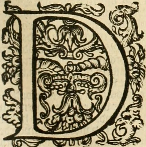 An illustration from Historie der Nieder-landscher ende haerder Naburen oorlogen : ende geschiedenissen tot den iare MVICXII, nu de laestemael bij hem voor syme todtmerckelijck verbetert en in, XXXII boecken voltzocken is mede' hier by gevoegt des autheurs leven [by Simeon Ruytinck] verryckt benessens de Land-Caerte met by na hondert correcte Conterfeijtsels vande voor treflijcste Personagien in dese Historie verhaelt. Alle cierlijck na d'leven ghedaen ende in Coperen platen gesteken ; gedruckt int Yaer ons Heeren MDCXXXVI, 1636, leaf 380