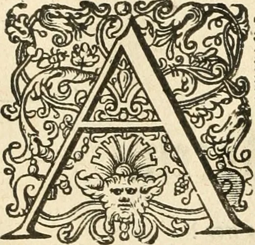 An illustration from Historie der Nieder-landscher ende haerder Naburen oorlogen : ende geschiedenissen tot den iare MVICXII, nu de laestemael bij hem voor syme todtmerckelijck verbetert en in, XXXII boecken voltzocken is mede' hier by gevoegt des autheurs leven [by Simeon Ruytinck] verryckt benessens de Land-Caerte met by na hondert correcte Conterfeijtsels vande voor treflijcste Personagien in dese Historie verhaelt. Alle cierlijck na d'leven ghedaen ende in Coperen platen gesteken ; gedruckt int Yaer ons Heeren MDCXXXVI, 1636, leaf 381