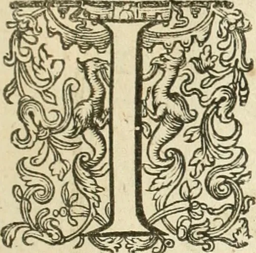 An illustration from Historie der Nieder-landscher ende haerder Naburen oorlogen : ende geschiedenissen tot den iare MVICXII, nu de laestemael bij hem voor syme todtmerckelijck verbetert en in, XXXII boecken voltzocken is mede' hier by gevoegt des autheurs leven [by Simeon Ruytinck] verryckt benessens de Land-Caerte met by na hondert correcte Conterfeijtsels vande voor treflijcste Personagien in dese Historie verhaelt. Alle cierlijck na d'leven ghedaen ende in Coperen platen gesteken ; gedruckt int Yaer ons Heeren MDCXXXVI, 1636, leaf 474