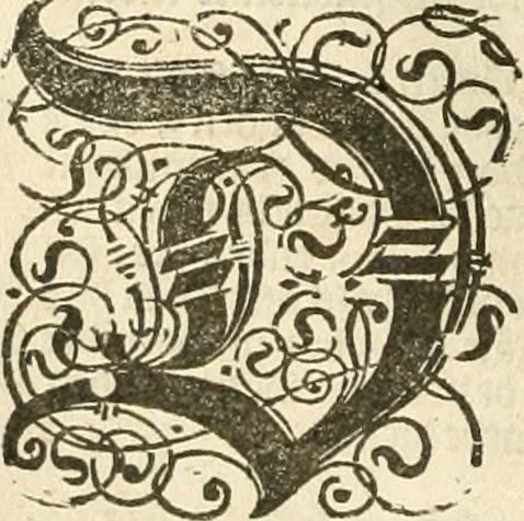 An illustration from Historie der Nieder-landscher ende haerder Naburen oorlogen : ende geschiedenissen tot den iare MVICXII, nu de laestemael bij hem voor syme todtmerckelijck verbetert en in, XXXII boecken voltzocken is mede' hier by gevoegt des autheurs leven [by Simeon Ruytinck] verryckt benessens de Land-Caerte met by na hondert correcte Conterfeijtsels vande voor treflijcste Personagien in dese Historie verhaelt. Alle cierlijck na d'leven ghedaen ende in Coperen platen gesteken ; gedruckt int Yaer ons Heeren MDCXXXVI, 1636, leaf 509