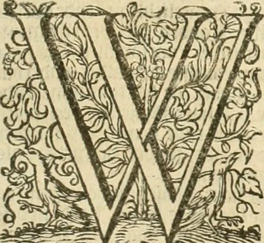 An illustration from Historie der Nieder-landscher ende haerder Naburen oorlogen : ende geschiedenissen tot den iare MVICXII, nu de laestemael bij hem voor syme todtmerckelijck verbetert en in, XXXII boecken voltzocken is mede' hier by gevoegt des autheurs leven [by Simeon Ruytinck] verryckt benessens de Land-Caerte met by na hondert correcte Conterfeijtsels vande voor treflijcste Personagien in dese Historie verhaelt. Alle cierlijck na d'leven ghedaen ende in Coperen platen gesteken ; gedruckt int Yaer ons Heeren MDCXXXVI, 1636, leaf 510
