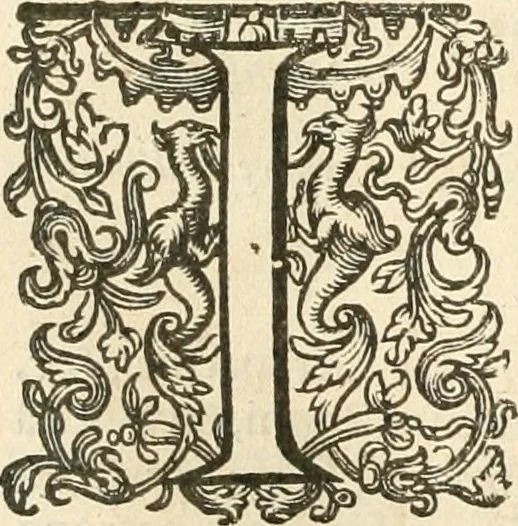 An illustration from Historie der Nieder-landscher ende haerder Naburen oorlogen : ende geschiedenissen tot den iare MVICXII, nu de laestemael bij hem voor syme todtmerckelijck verbetert en in, XXXII boecken voltzocken is mede' hier by gevoegt des autheurs leven [by Simeon Ruytinck] verryckt benessens de Land-Caerte met by na hondert correcte Conterfeijtsels vande voor treflijcste Personagien in dese Historie verhaelt. Alle cierlijck na d'leven ghedaen ende in Coperen platen gesteken ; gedruckt int Yaer ons Heeren MDCXXXVI, 1636, leaf 555