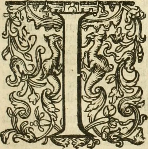 An illustration from Historie der Nieder-landscher ende haerder Naburen oorlogen : ende geschiedenissen tot den iare MVICXII, nu de laestemael bij hem voor syme todtmerckelijck verbetert en in, XXXII boecken voltzocken is mede' hier by gevoegt des autheurs leven [by Simeon Ruytinck] verryckt benessens de Land-Caerte met by na hondert correcte Conterfeijtsels vande voor treflijcste Personagien in dese Historie verhaelt. Alle cierlijck na d'leven ghedaen ende in Coperen platen gesteken ; gedruckt int Yaer ons Heeren MDCXXXVI, 1636, leaf 556