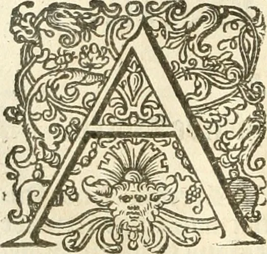 An illustration from Historie der Nieder-landscher ende haerder Naburen oorlogen : ende geschiedenissen tot den iare MVICXII, nu de laestemael bij hem voor syme todtmerckelijck verbetert en in, XXXII boecken voltzocken is mede' hier by gevoegt des autheurs leven [by Simeon Ruytinck] verryckt benessens de Land-Caerte met by na hondert correcte Conterfeijtsels vande voor treflijcste Personagien in dese Historie verhaelt. Alle cierlijck na d'leven ghedaen ende in Coperen platen gesteken ; gedruckt int Yaer ons Heeren MDCXXXVI, 1636, leaf 599