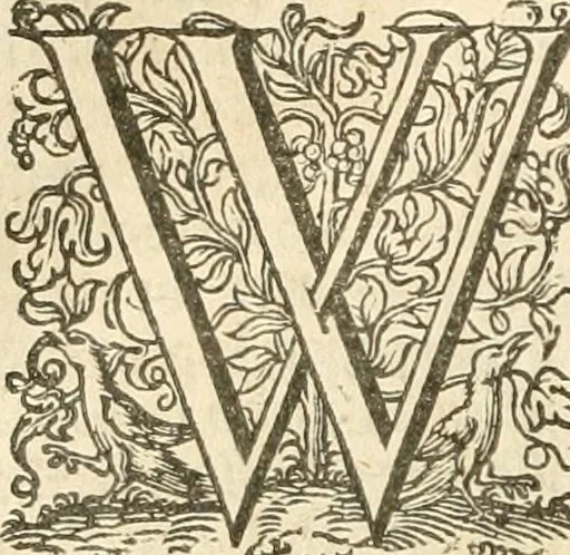 An illustration from Historie der Nieder-landscher ende haerder Naburen oorlogen : ende geschiedenissen tot den iare MVICXII, nu de laestemael bij hem voor syme todtmerckelijck verbetert en in, XXXII boecken voltzocken is mede' hier by gevoegt des autheurs leven [by Simeon Ruytinck] verryckt benessens de Land-Caerte met by na hondert correcte Conterfeijtsels vande voor treflijcste Personagien in dese Historie verhaelt. Alle cierlijck na d'leven ghedaen ende in Coperen platen gesteken ; gedruckt int Yaer ons Heeren MDCXXXVI, 1636, leaf 681