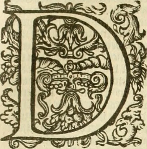 An illustration from Historie der Nieder-landscher ende haerder Naburen oorlogen : ende geschiedenissen tot den iare MVICXII, nu de laestemael bij hem voor syme todtmerckelijck verbetert en in, XXXII boecken voltzocken is mede' hier by gevoegt des autheurs leven [by Simeon Ruytinck] verryckt benessens de Land-Caerte met by na hondert correcte Conterfeijtsels vande voor treflijcste Personagien in dese Historie verhaelt. Alle cierlijck na d'leven ghedaen ende in Coperen platen gesteken ; gedruckt int Yaer ons Heeren MDCXXXVI, 1636, leaf 732