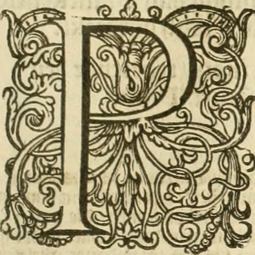 An illustration from Historie der Nieder-landscher ende haerder Naburen oorlogen : ende geschiedenissen tot den iare MVICXII, nu de laestemael bij hem voor syme todtmerckelijck verbetert en in, XXXII boecken voltzocken is mede' hier by gevoegt des autheurs leven [by Simeon Ruytinck] verryckt benessens de Land-Caerte met by na hondert correcte Conterfeijtsels vande voor treflijcste Personagien in dese Historie verhaelt. Alle cierlijck na d'leven ghedaen ende in Coperen platen gesteken ; gedruckt int Yaer ons Heeren MDCXXXVI, 1636, leaf 780