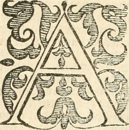 An illustration from Historie der Nieder-landscher ende haerder Naburen oorlogen : ende geschiedenissen tot den iare MVICXII, nu de laestemael bij hem voor syme todtmerckelijck verbetert en in, XXXII boecken voltzocken is mede' hier by gevoegt des autheurs leven [by Simeon Ruytinck] verryckt benessens de Land-Caerte met by na hondert correcte Conterfeijtsels vande voor treflijcste Personagien in dese Historie verhaelt. Alle cierlijck na d'leven ghedaen ende in Coperen platen gesteken ; gedruckt int Yaer ons Heeren MDCXXXVI, 1636, leaf 87