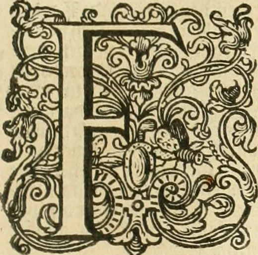 An illustration from Historie der Nieder-landscher ende haerder Naburen oorlogen : ende geschiedenissen tot den iare MVICXII, nu de laestemael bij hem voor syme todtmerckelijck verbetert en in, XXXII boecken voltzocken is mede' hier by gevoegt des autheurs leven [by Simeon Ruytinck] verryckt benessens de Land-Caerte met by na hondert correcte Conterfeijtsels vande voor treflijcste Personagien in dese Historie verhaelt. Alle cierlijck na d'leven ghedaen ende in Coperen platen gesteken ; gedruckt int Yaer ons Heeren MDCXXXVI, 1636, leaf 950