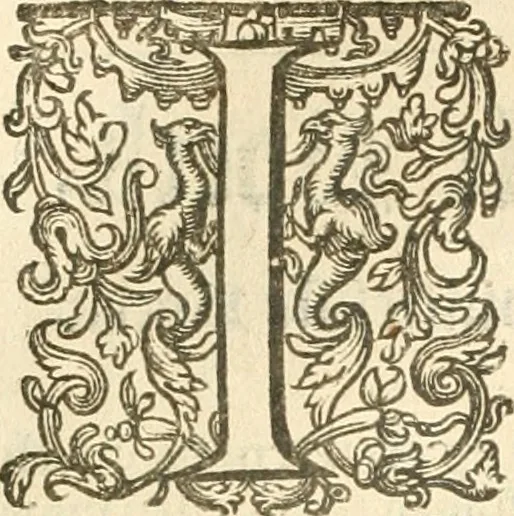 An illustration from Historie der Nieder-landscher ende haerder Naburen oorlogen : ende geschiedenissen tot den iare MVICXII, nu de laestemael bij hem voor syme todtmerckelijck verbetert en in, XXXII boecken voltzocken is mede' hier by gevoegt des autheurs leven [by Simeon Ruytinck] verryckt benessens de Land-Caerte met by na hondert correcte Conterfeijtsels vande voor treflijcste Personagien in dese Historie verhaelt. Alle cierlijck na d'leven ghedaen ende in Coperen platen gesteken ; gedruckt int Yaer ons Heeren MDCXXXVI, 1636, leaf 951
