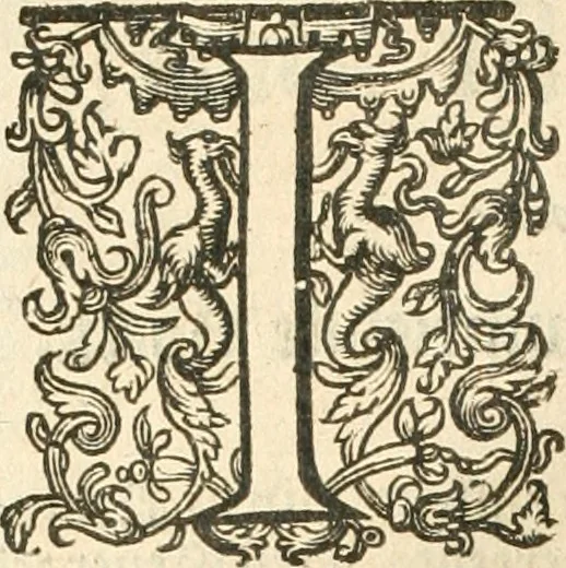 An illustration from Historie der Nieder-landscher ende haerder Naburen oorlogen : ende geschiedenissen tot den iare MVICXII, nu de laestemael bij hem voor syme todtmerckelijck verbetert en in, XXXII boecken voltzocken is mede' hier by gevoegt des autheurs leven [by Simeon Ruytinck] verryckt benessens de Land-Caerte met by na hondert correcte Conterfeijtsels vande voor treflijcste Personagien in dese Historie verhaelt. Alle cierlijck na d'leven ghedaen ende in Coperen platen gesteken ; gedruckt int Yaer ons Heeren MDCXXXVI, 1636, leaf 981