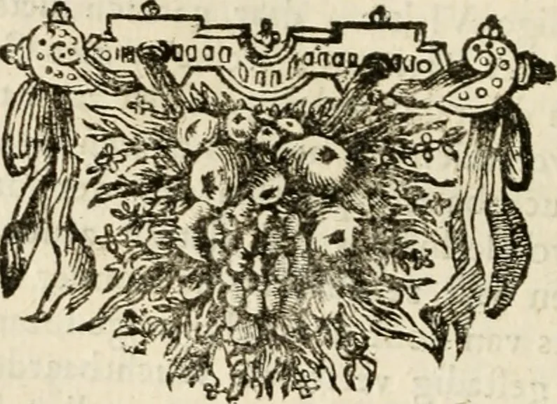 An illustration from Historie der Sevarambes, : volkeren die een gedeelte van het darde vast-land bewoonwn, gemeenlijk Zuid-land genaamd; : behelzende een naauwkeurig verhaal van de regering, zeden, godtsdienst, en taal, dezer tot noch toe aan de volkeren van Europa onbekende natie, 1682, leaf 133