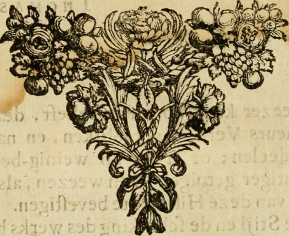 An illustration from Historie der Sevarambes, : volkeren die een gedeelte van het darde vast-land bewoonwn, gemeenlijk Zuid-land genaamd; : behelzende een naauwkeurig verhaal van de regering, zeden, godtsdienst, en taal, dezer tot noch toe aan de volkeren van Europa onbekende natie, 1682, leaf 19
