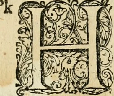 An illustration from Historie der Sevarambes, : volkeren die een gedeelte van het darde vast-land bewoonwn, gemeenlijk Zuid-land genaamd; : behelzende een naauwkeurig verhaal van de regering, zeden, godtsdienst, en taal, dezer tot noch toe aan de volkeren van Europa onbekende natie, 1682, leaf 20