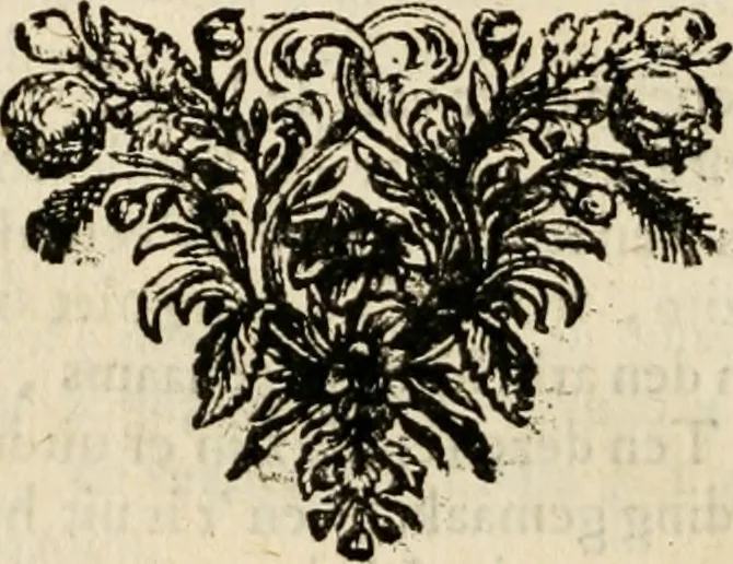 An illustration from Historie der Sevarambes, : volkeren die een gedeelte van het darde vast-land bewoonwn, gemeenlijk Zuid-land genaamd; : behelzende een naauwkeurig verhaal van de regering, zeden, godtsdienst, en taal, dezer tot noch toe aan de volkeren van Europa onbekende natie, 1682, leaf 217