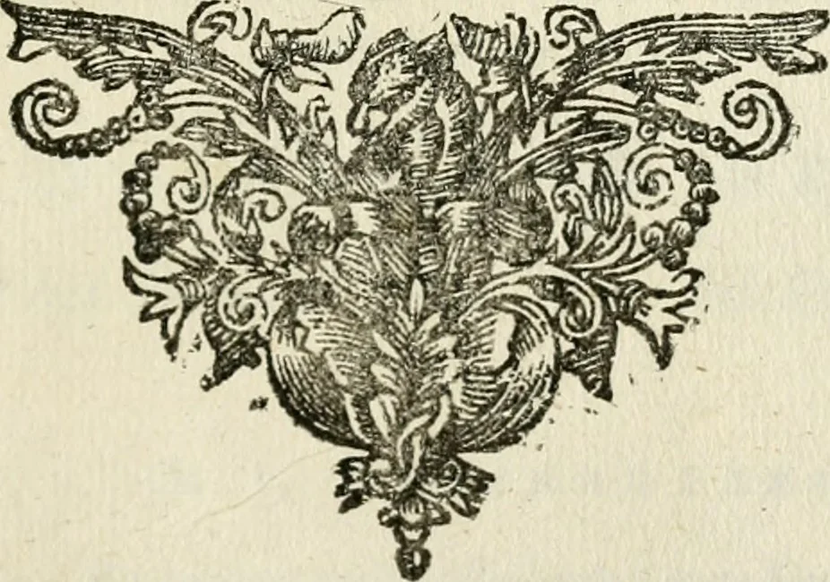 An illustration from Historie der Sevarambes, : volkeren die een gedeelte van het darde vast-land bewoonwn, gemeenlijk Zuid-land genaamd; : behelzende een naauwkeurig verhaal van de regering, zeden, godtsdienst, en taal, dezer tot noch toe aan de volkeren van Europa onbekende natie, 1682, leaf 294
