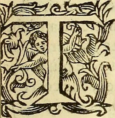 An illustration from Historie di Faenza, 1675, leaf 156