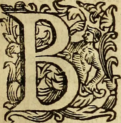 An illustration from Historie di Faenza, 1675, leaf 28