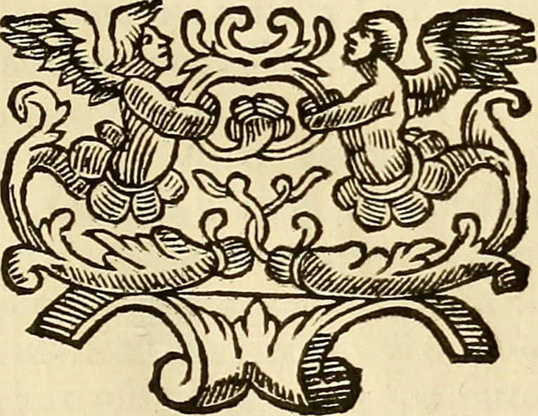 An illustration from Historie di Faenza, 1675, leaf 314