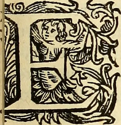 An illustration from Historie di Faenza, 1675, leaf 316