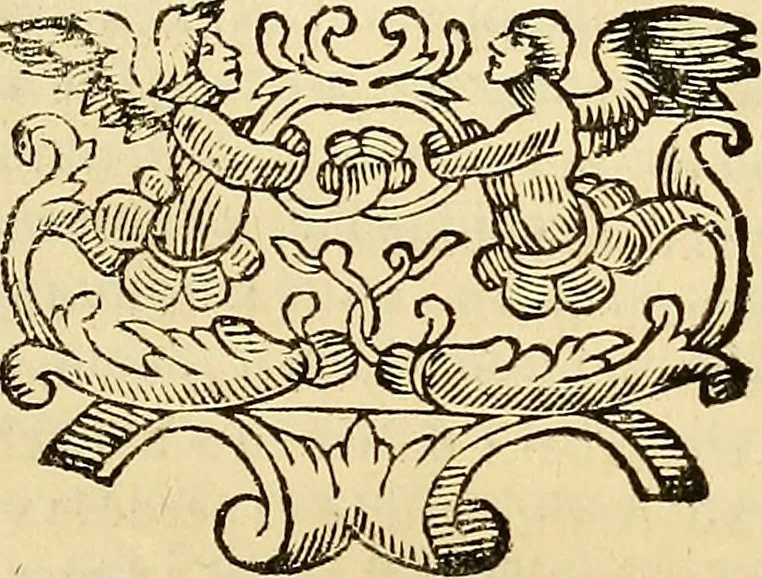 An illustration from Historie di Faenza, 1675, leaf 720