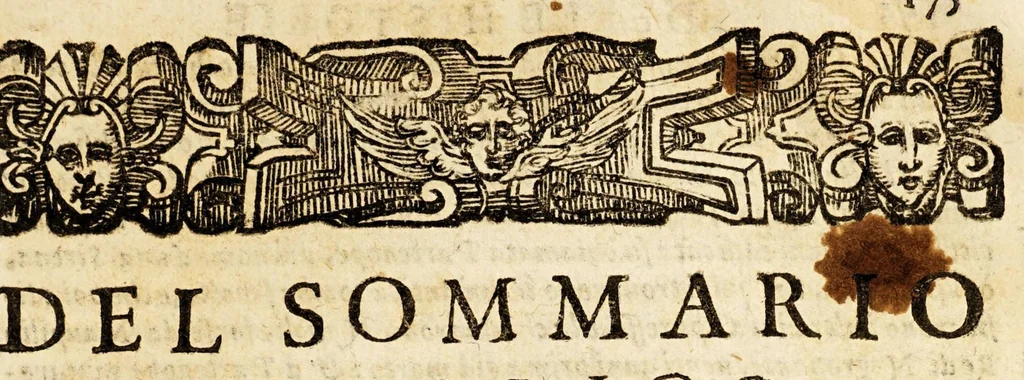 An illustration from Historie di quattro principali città del mondo, Gerusalemme, Roma, Napoli, e Venetia., 1603, leaf 195