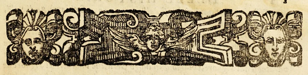 An illustration from Historie di quattro principali città del mondo, Gerusalemme, Roma, Napoli, e Venetia., 1603, leaf 21
