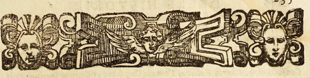 An illustration from Historie di quattro principali città del mondo, Gerusalemme, Roma, Napoli, e Venetia., 1603, leaf 255