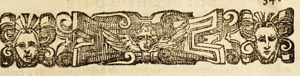 An illustration from Historie di quattro principali città del mondo, Gerusalemme, Roma, Napoli, e Venetia., 1603, leaf 351