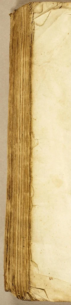 An illustration from Historie di quattro principali città del mondo, Gerusalemme, Roma, Napoli, e Venetia., 1603, leaf 462