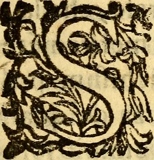 An illustration from Historie memorabili della città di Bologna, 1666, leaf 14