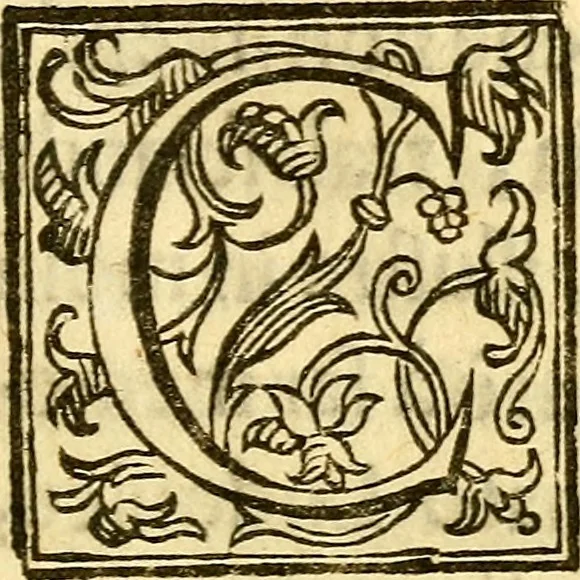 An illustration from Historie memorabili della città di Bologna, 1666, leaf 254