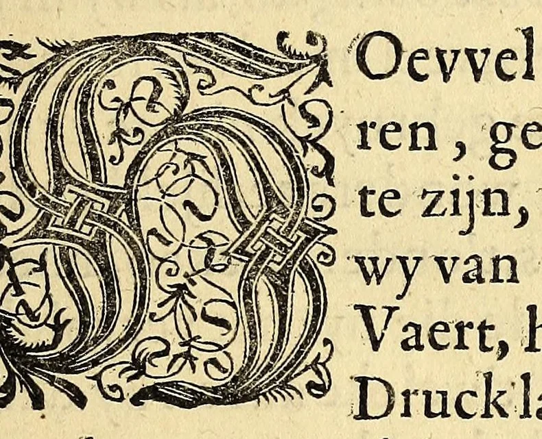 An illustration from Historie naturael en morael van de Westersche Indien. : Waer inne ghehandelt wort van de merckelijckste dinghen des hemels, elementen, metalen, planten ende gedierten van dien : als oock de manieren, ceremonien, wetten, regeeringen, ende oorlogen der Indianen., 1624, leaf 9
