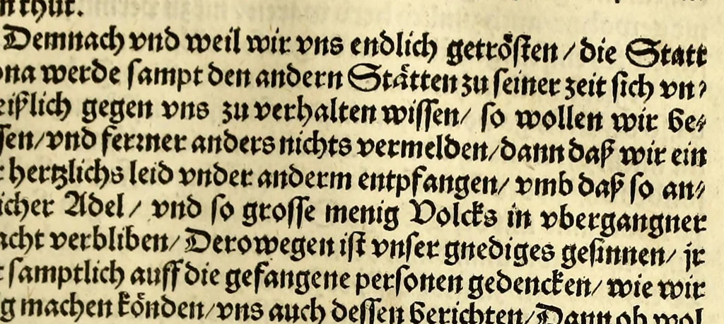 An illustration from Historien der Königkreich, Hispannien, Portugal, vnd Aphrica, darauss dann zusehen, in welcher Zeit, sonderlich Portugal, seinen Anfang genommen, von weine dasselbig zum Königreich erhaben, was dieselbigen Könige für Krieg vnnd Gewerb, zu Wasser vnnd Land geführet. ..., 1589, leaf 149
