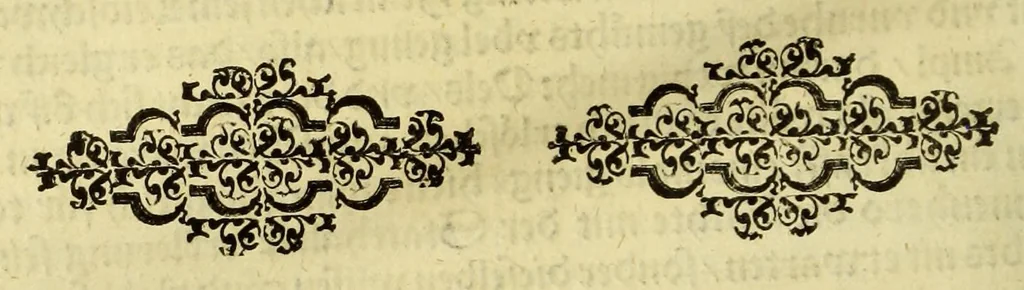 An illustration from Historien der Königkreich, Hispannien, Portugal, vnd Aphrica, darauss dann zusehen, in welcher Zeit, sonderlich Portugal, seinen Anfang genommen, von weine dasselbig zum Königreich erhaben, was dieselbigen Könige für Krieg vnnd Gewerb, zu Wasser vnnd Land geführet. ..., 1589, leaf 184